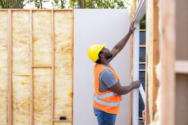 Best Home Insulation Services  in Edcouch, TX