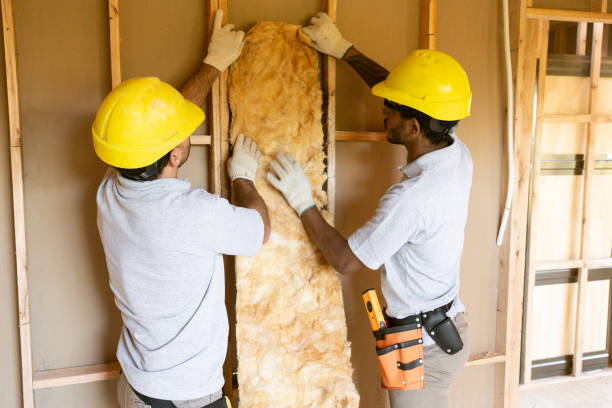 Best Garage Insulation Installation  in Edcouch, TX